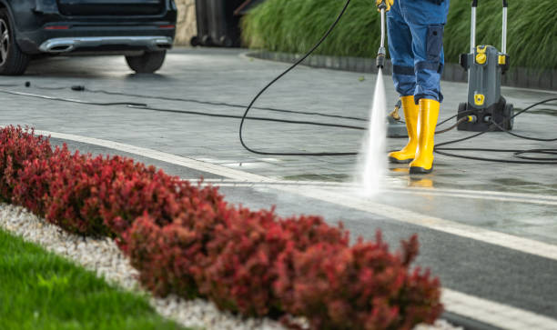 Best Patio and Deck Pressure Washing  in USA